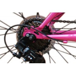 24 Zoll Mountainbike StVZO Zubehör und Shimano Kettenschaltung Rosa